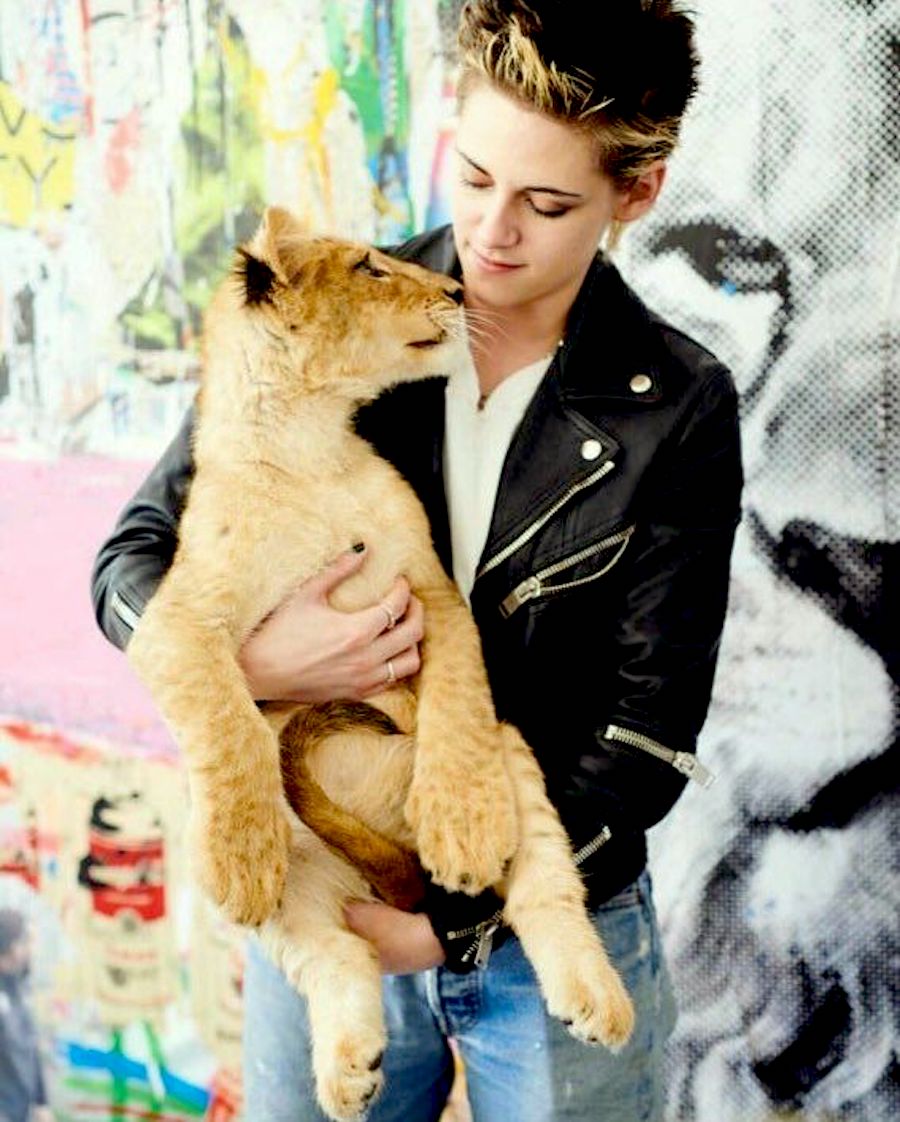 Kristen Stewart Lion